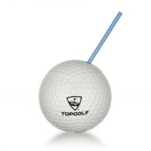 Golf Ball Cups with Straw and Lid, 20oz Plastic Reusable Golf Themed Party Cups Golf Decorations