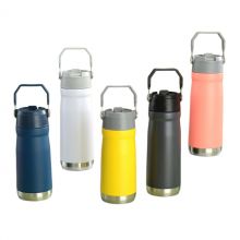 22oz Portable Flip Straw Water Bottle with Top Handle, Stainless Steel Sports Water Bottle