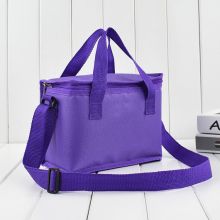 Custom 10-cans Oxford Insulated Cooler Lunch Bag, Reusable Soft Cooler Bag for Picnic, Camping & Promotional