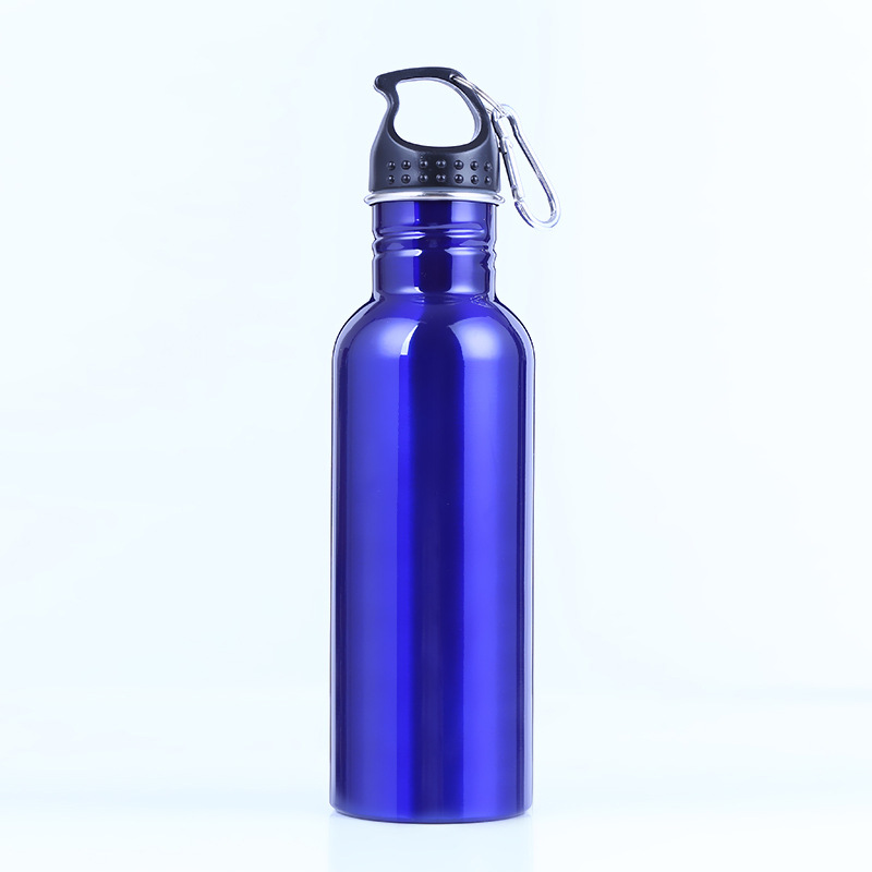 26 oz. BPA Free Stainless Steel Sports Water Bottles with Twist Cap and Carabiner for Gym Hiking Running Camping