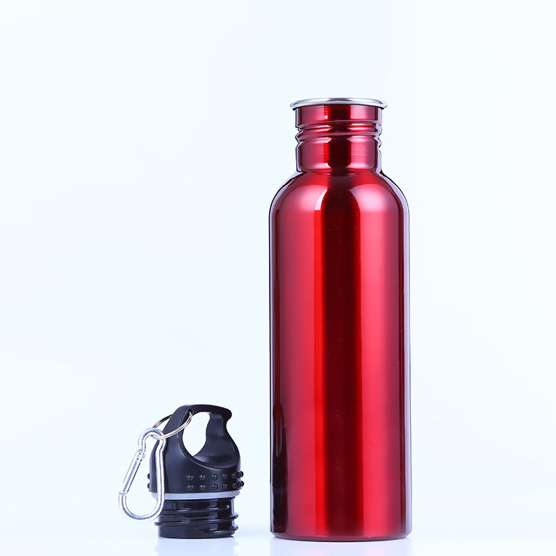 26 oz. BPA Free Stainless Steel Sports Water Bottles with Twist Cap and Carabiner for Gym Hiking Running Camping