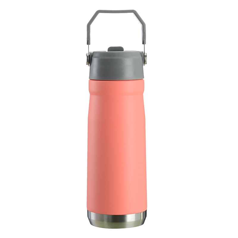 22oz Portable Flip Straw Water Bottle with Top Handle, Stainless Steel Sports Water Bottle