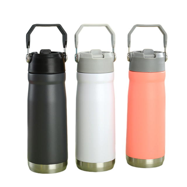 22oz Portable Flip Straw Water Bottle with Top Handle, Stainless Steel Sports Water Bottle