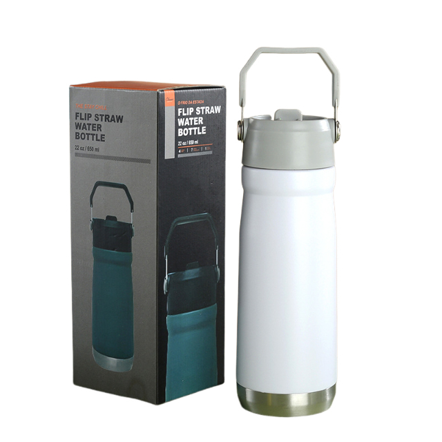 22oz Portable Flip Straw Water Bottle with Top Handle, Stainless Steel Sports Water Bottle