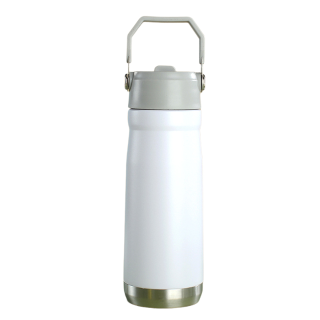22oz Portable Flip Straw Water Bottle with Top Handle, Stainless Steel Sports Water Bottle