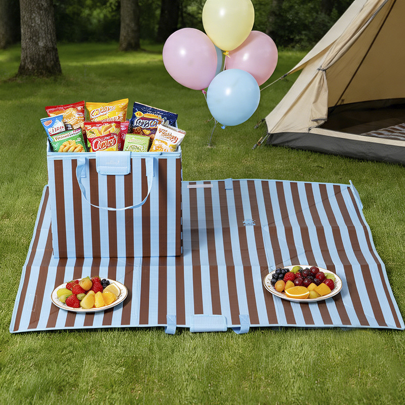 Custom 2-in-1 Foldable Insulated Picnic Bag Waterproof Outdoor Picnic Mat with Carry Handle for Camping, Family Trips, Promotional